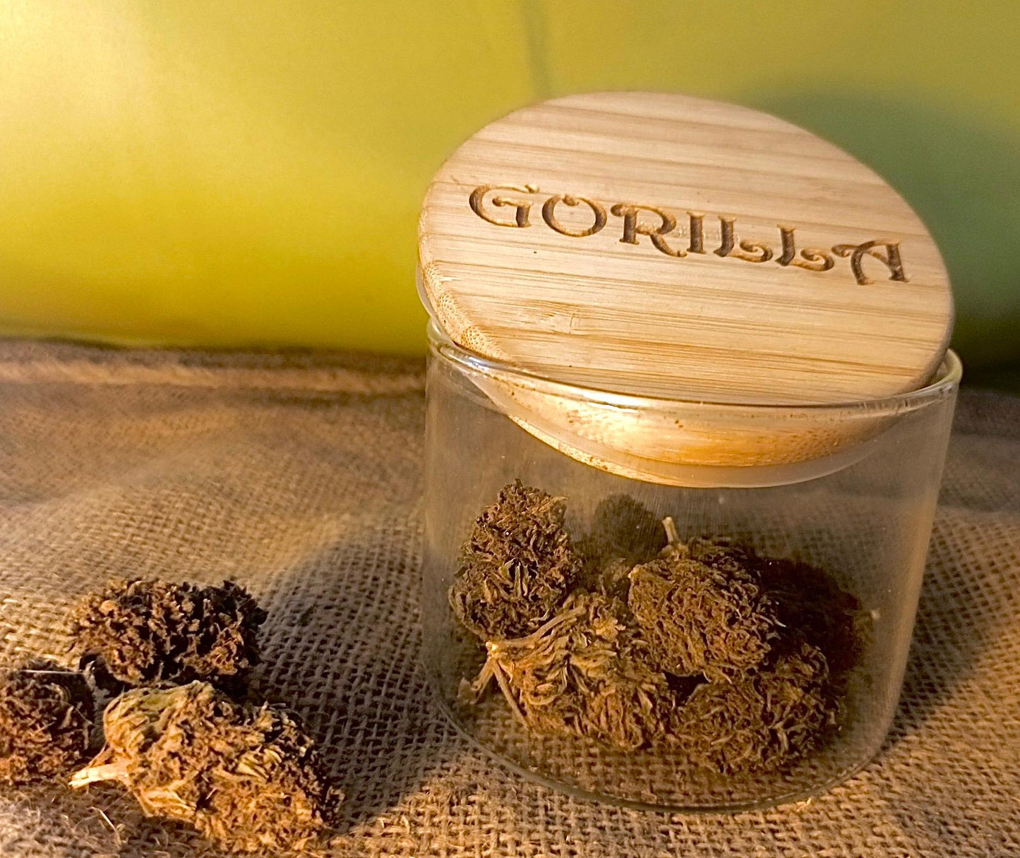 GORILLA